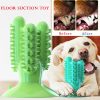 NEW Dog Toothbrush Toy
