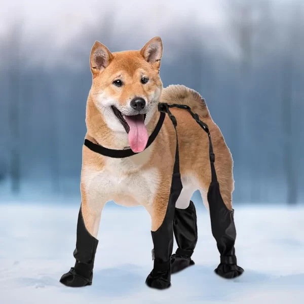 Outdoor Walking Dog Boot Leggings